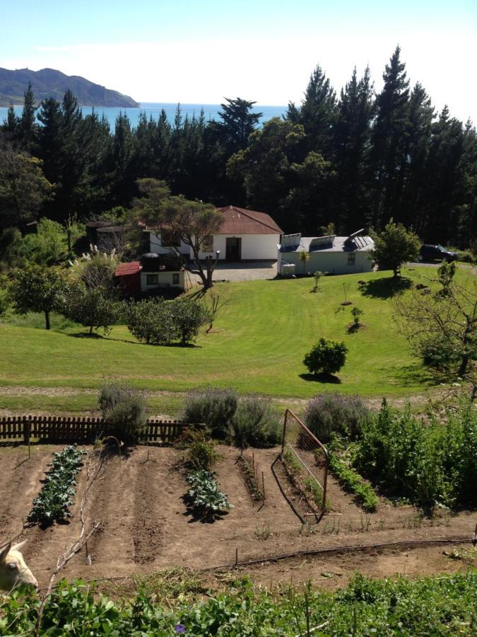 Bed and Breakfast Waipiro Bay Paradise Te Puia Экстерьер фото