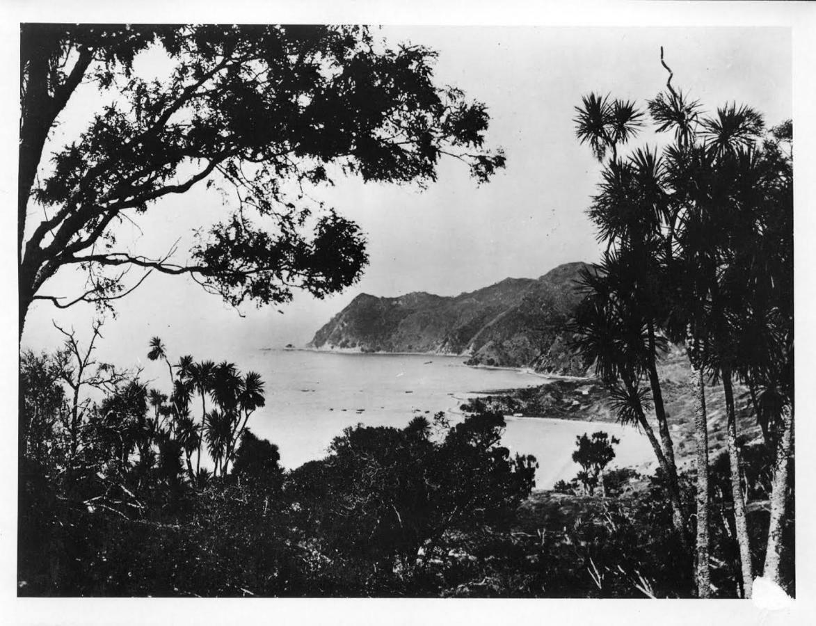 Bed and Breakfast Waipiro Bay Paradise Te Puia Экстерьер фото